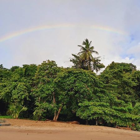 Vista Alta Ecolodge Bahia Drake Drake Bay ภายนอก รูปภาพ