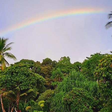 Vista Alta Ecolodge Bahia Drake Drake Bay ภายนอก รูปภาพ
