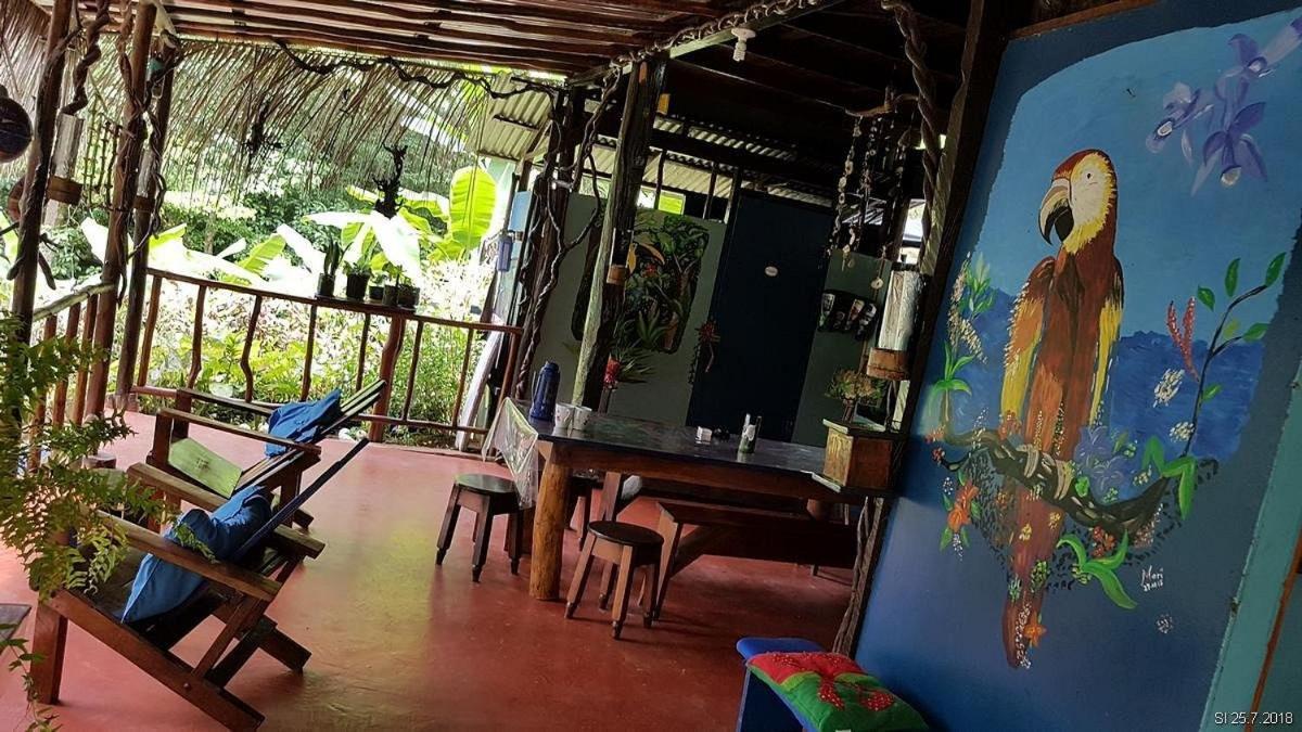 Vista Alta Ecolodge Bahia Drake Drake Bay ภายนอก รูปภาพ