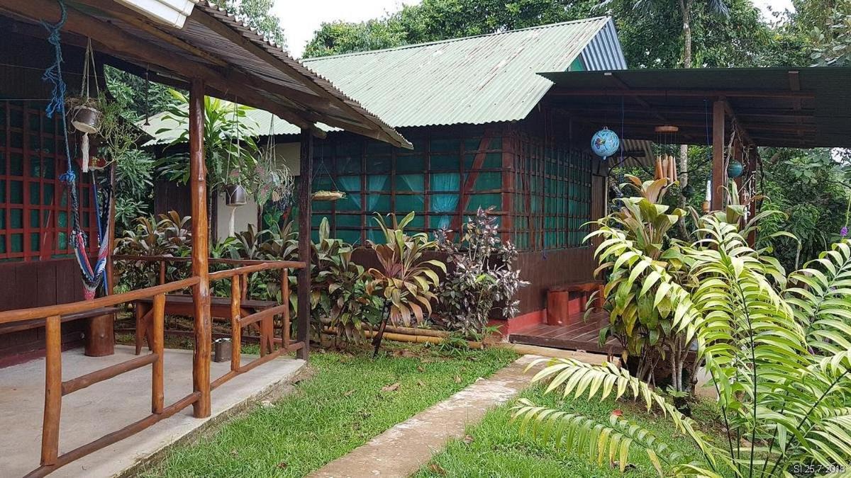 Vista Alta Ecolodge Bahia Drake Drake Bay ภายนอก รูปภาพ