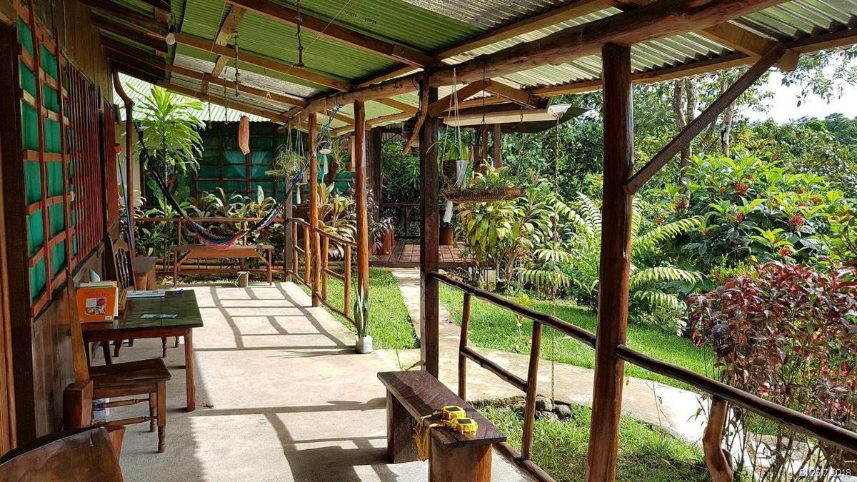 Vista Alta Ecolodge Bahia Drake Drake Bay ภายนอก รูปภาพ