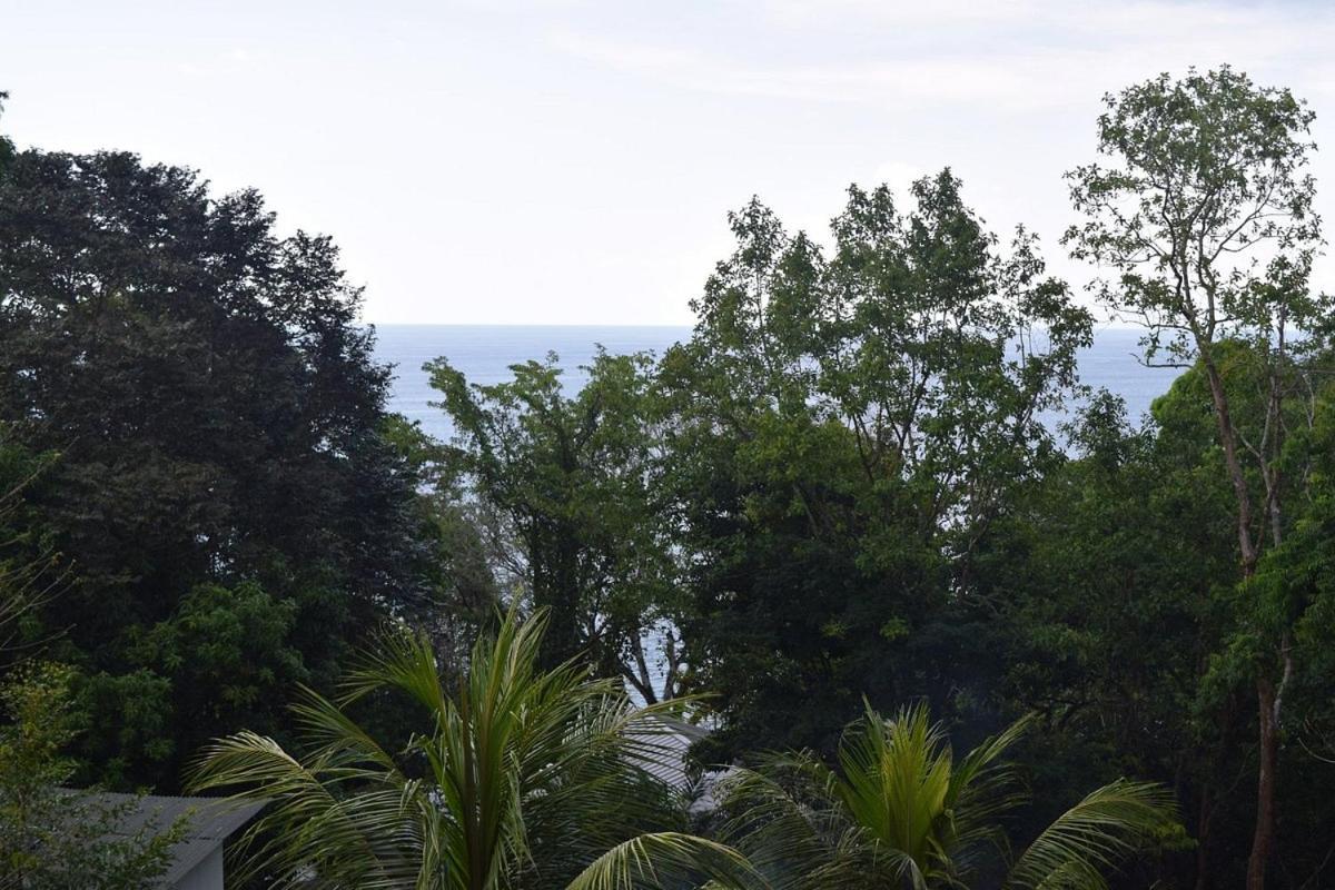 Vista Alta Ecolodge Bahia Drake Drake Bay ภายนอก รูปภาพ