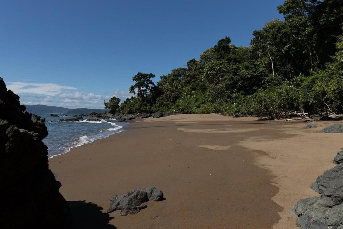 Vista Alta Ecolodge Bahia Drake Drake Bay ภายนอก รูปภาพ