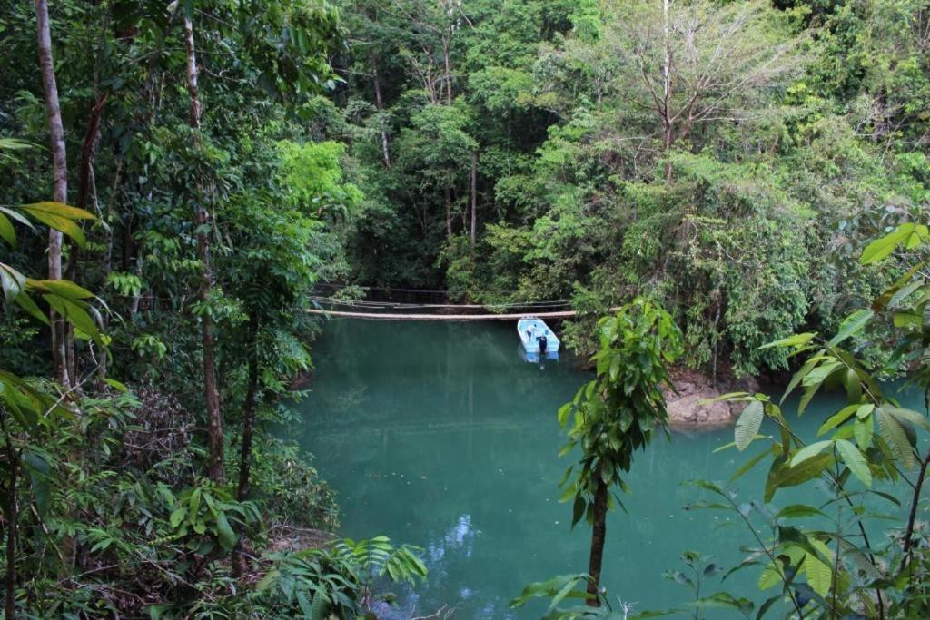 Vista Alta Ecolodge Bahia Drake Drake Bay ภายนอก รูปภาพ