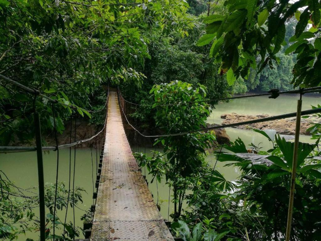 Vista Alta Ecolodge Bahia Drake Drake Bay ภายนอก รูปภาพ