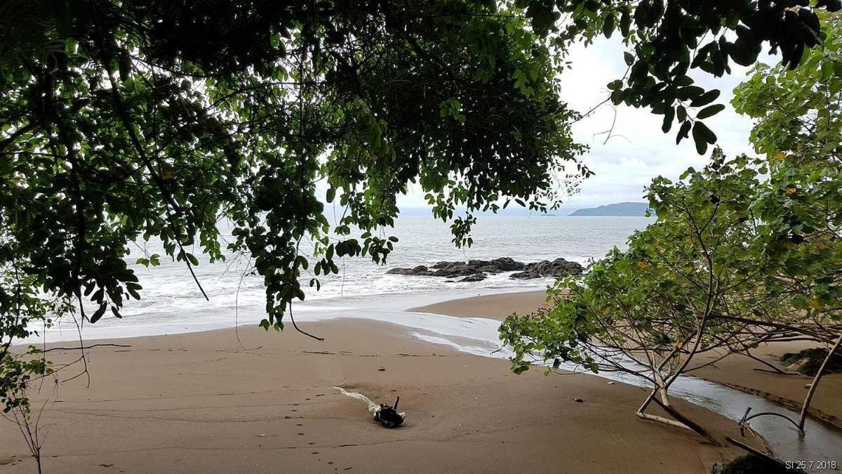 Vista Alta Ecolodge Bahia Drake Drake Bay ภายนอก รูปภาพ