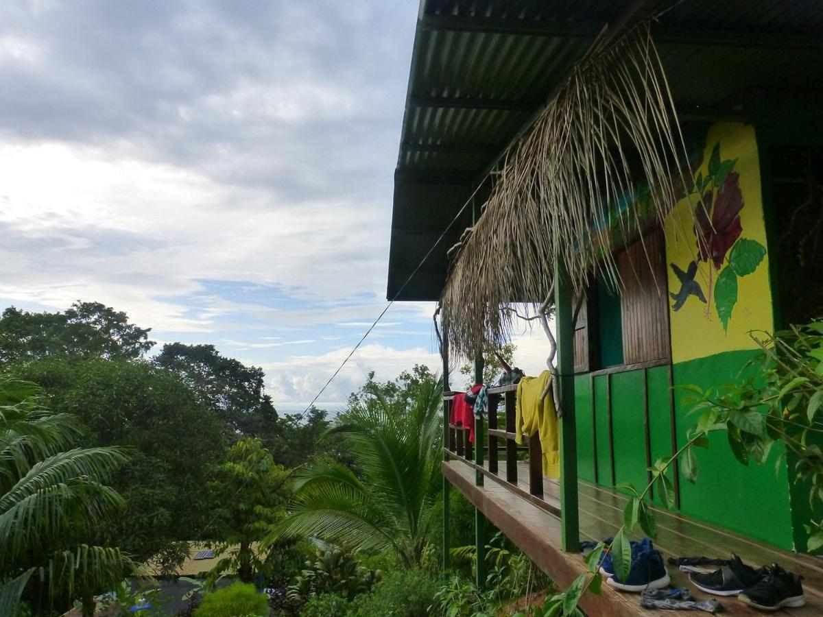 Vista Alta Ecolodge Bahia Drake Drake Bay ภายนอก รูปภาพ