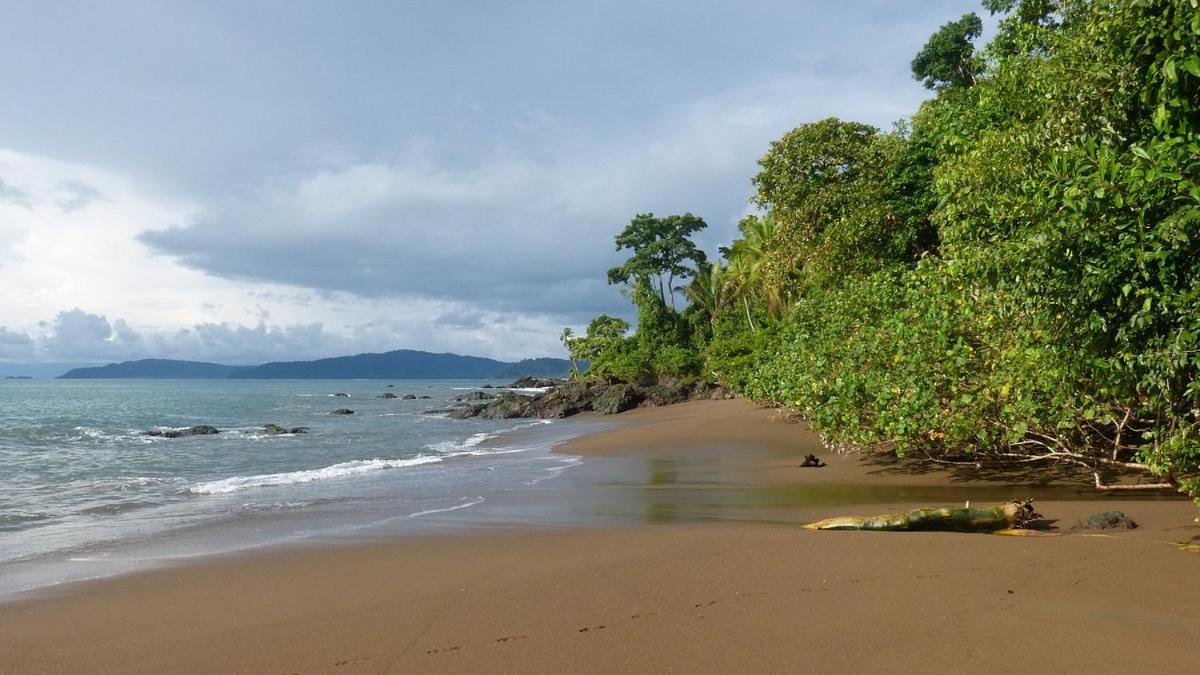 Vista Alta Ecolodge Bahia Drake Drake Bay ภายนอก รูปภาพ