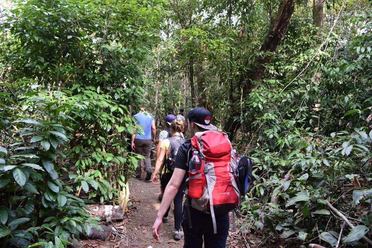 Vista Alta Ecolodge Bahia Drake Drake Bay ภายนอก รูปภาพ