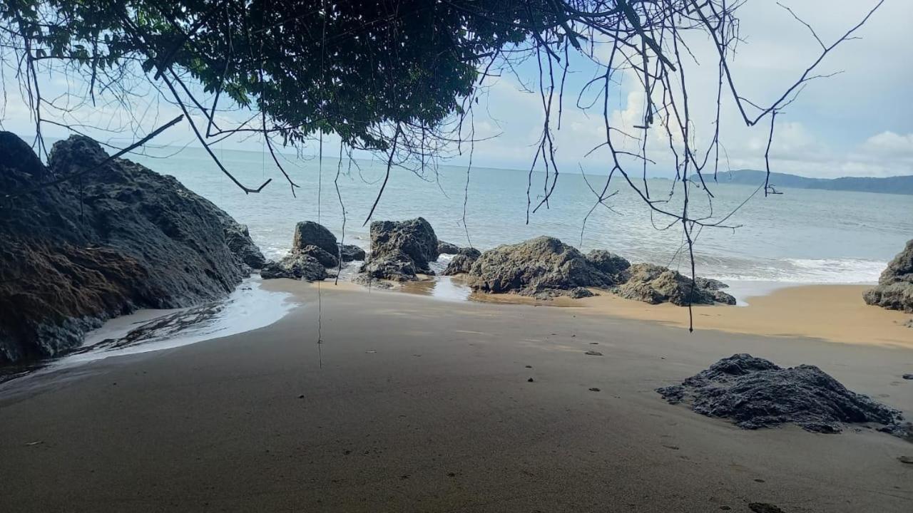 Vista Alta Ecolodge Bahia Drake Drake Bay ภายนอก รูปภาพ