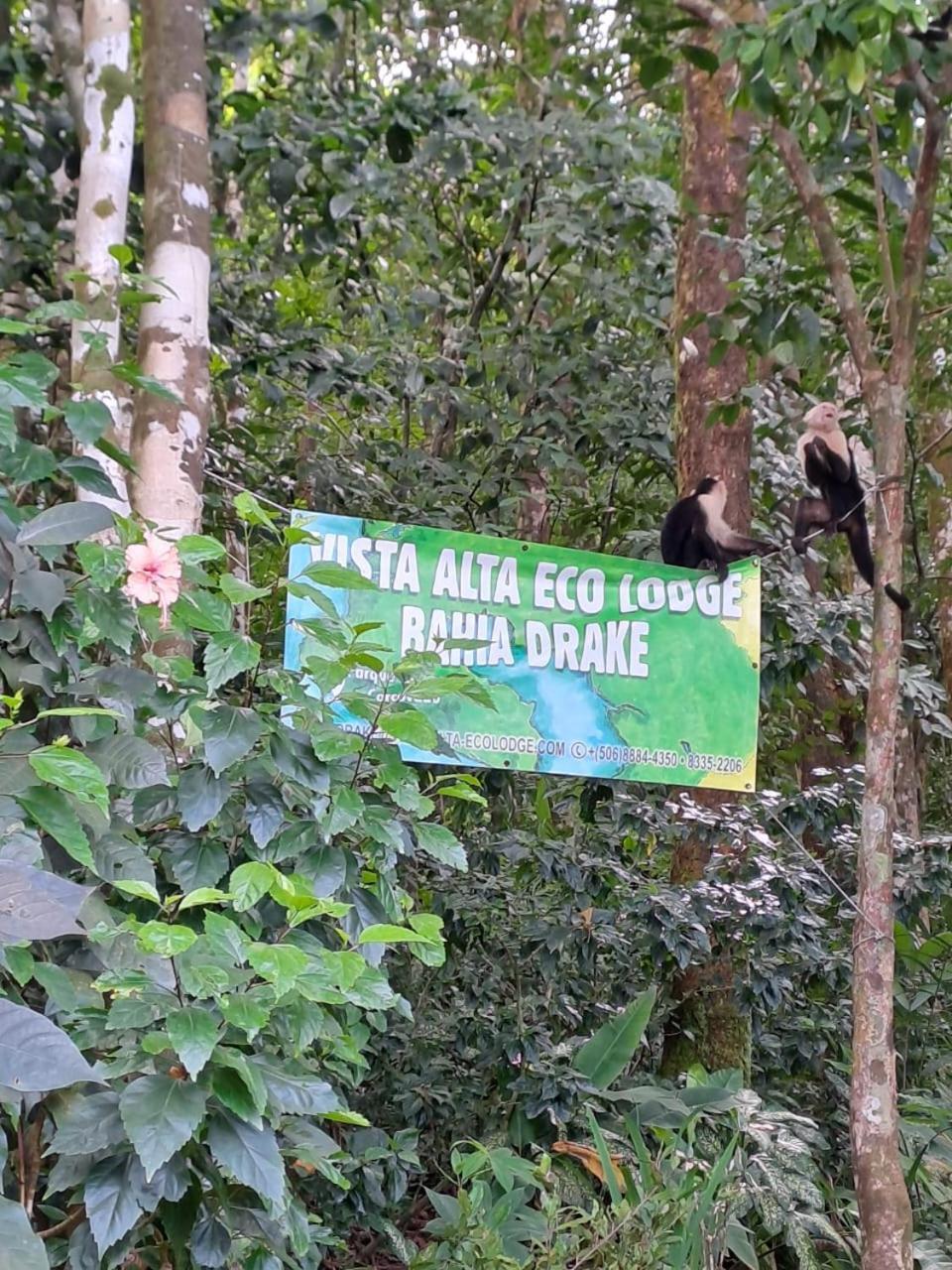 Vista Alta Ecolodge Bahia Drake Drake Bay ภายนอก รูปภาพ
