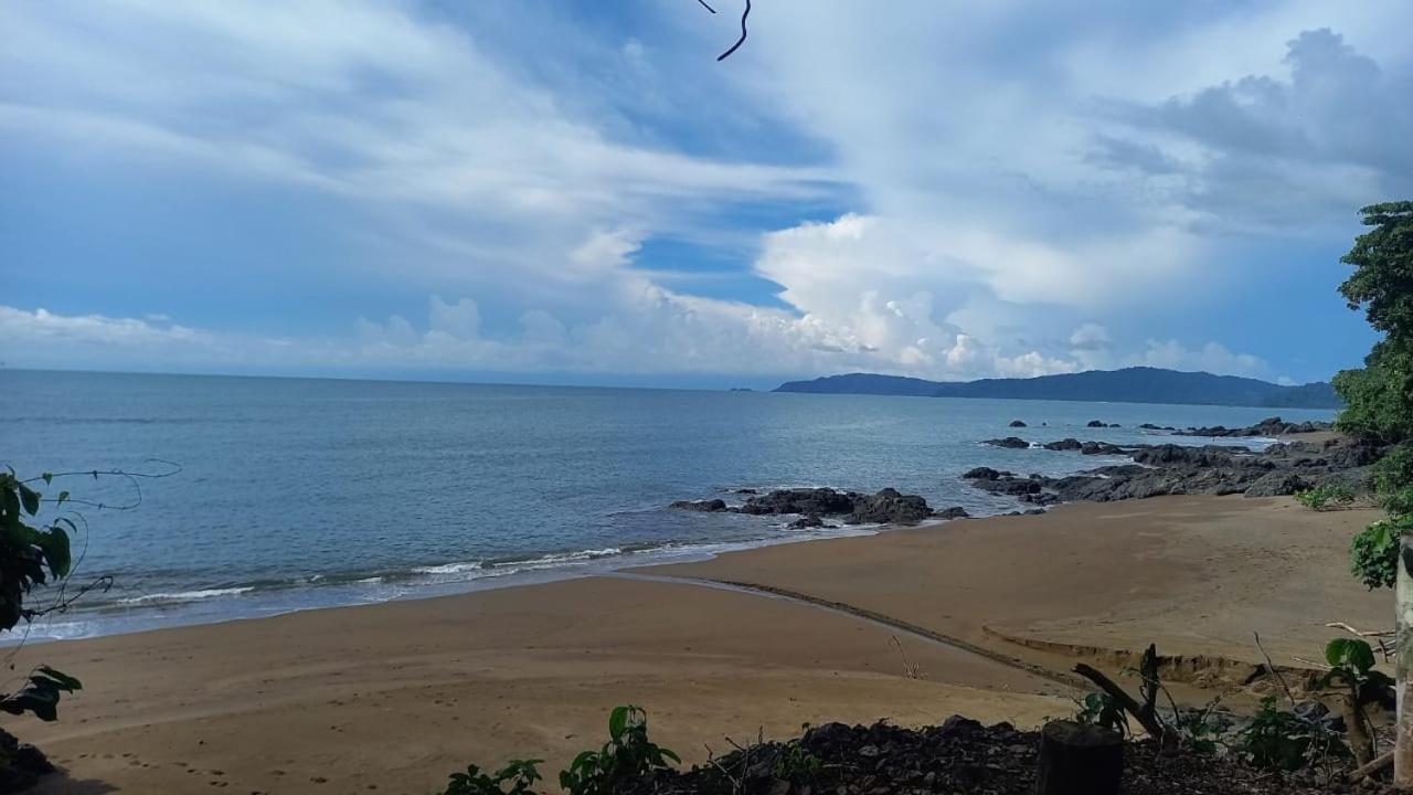 Vista Alta Ecolodge Bahia Drake Drake Bay ภายนอก รูปภาพ