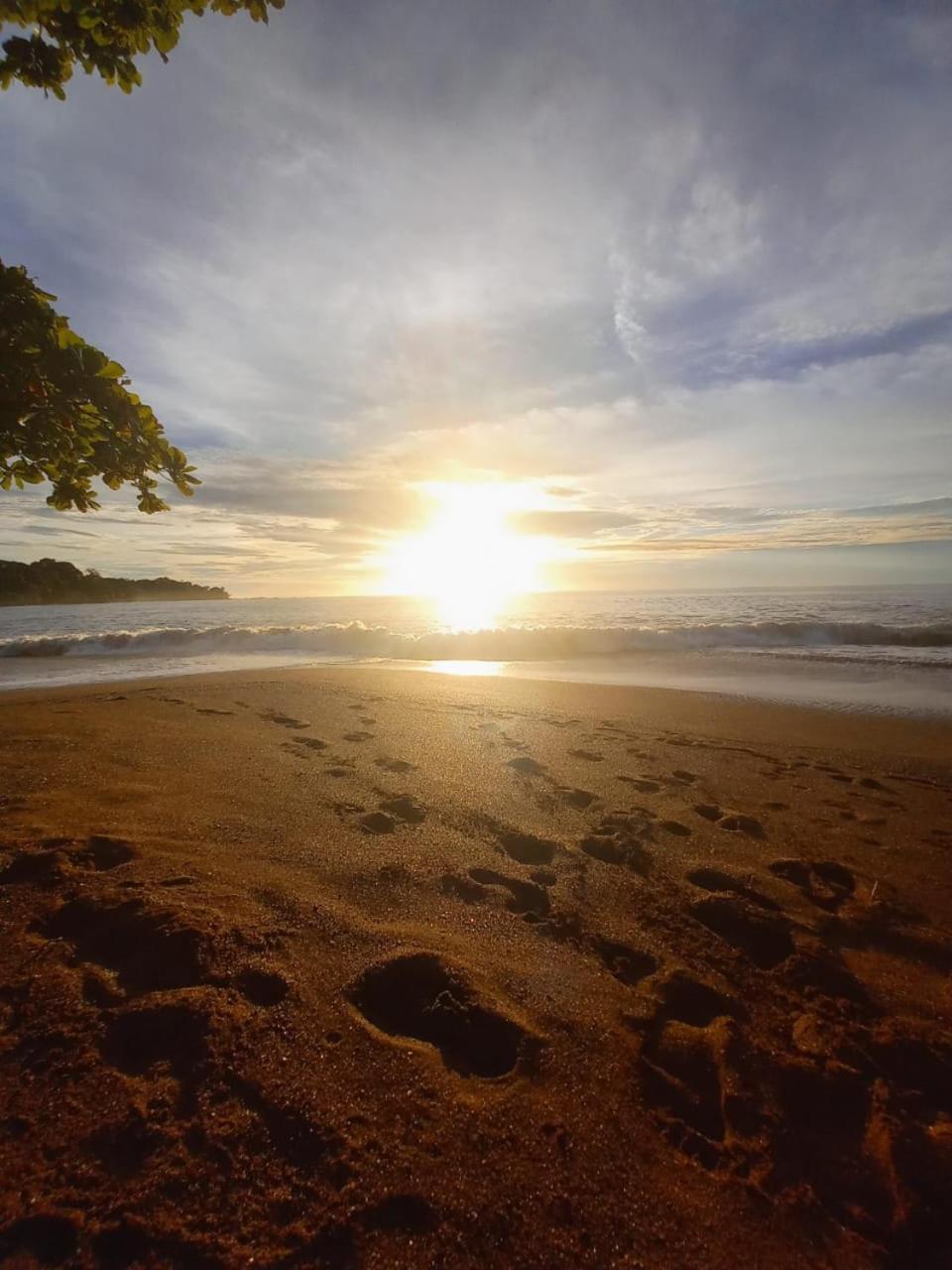 Vista Alta Ecolodge Bahia Drake Drake Bay ภายนอก รูปภาพ