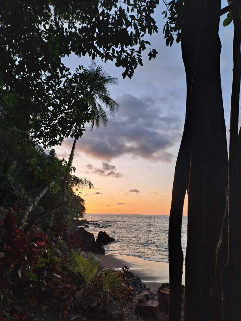 Vista Alta Ecolodge Bahia Drake Drake Bay ภายนอก รูปภาพ