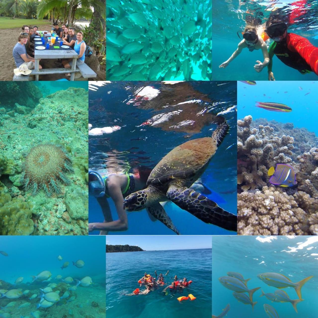 Vista Alta Ecolodge Bahia Drake Drake Bay ภายนอก รูปภาพ