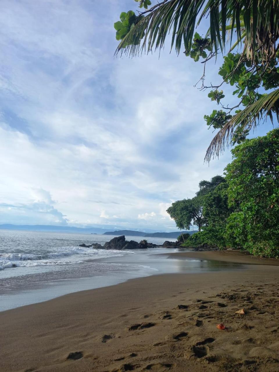 Vista Alta Ecolodge Bahia Drake Drake Bay ภายนอก รูปภาพ