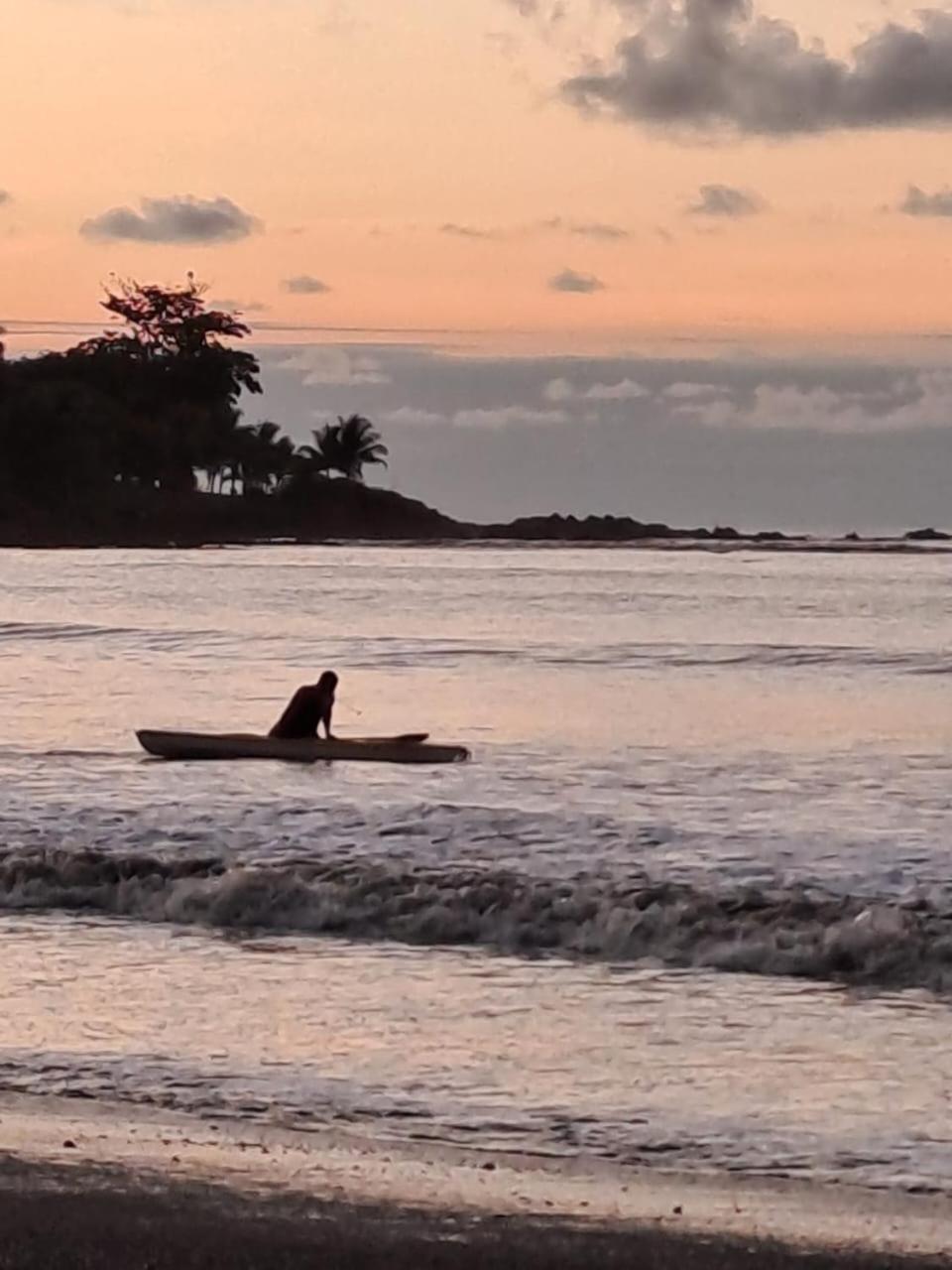 Vista Alta Ecolodge Bahia Drake Drake Bay ภายนอก รูปภาพ
