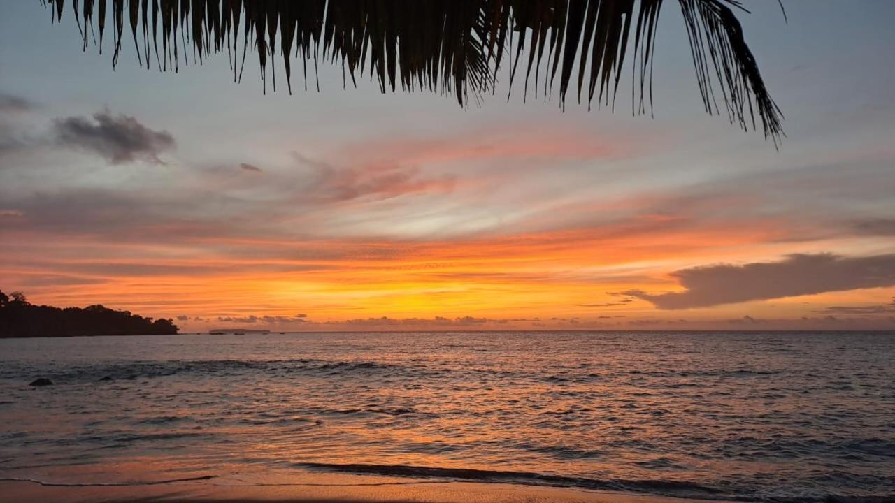 Vista Alta Ecolodge Bahia Drake Drake Bay ภายนอก รูปภาพ