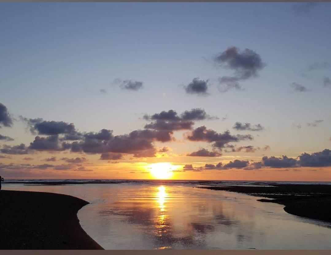 Vista Alta Ecolodge Bahia Drake Drake Bay ภายนอก รูปภาพ
