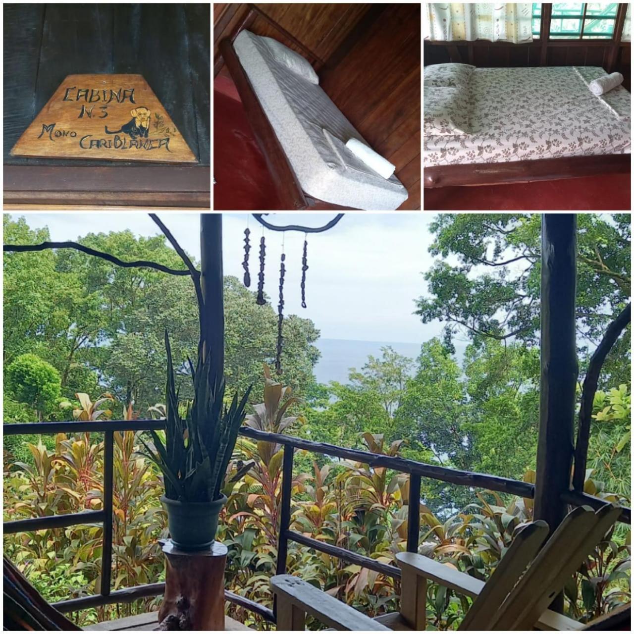 Vista Alta Ecolodge Bahia Drake Drake Bay ภายนอก รูปภาพ