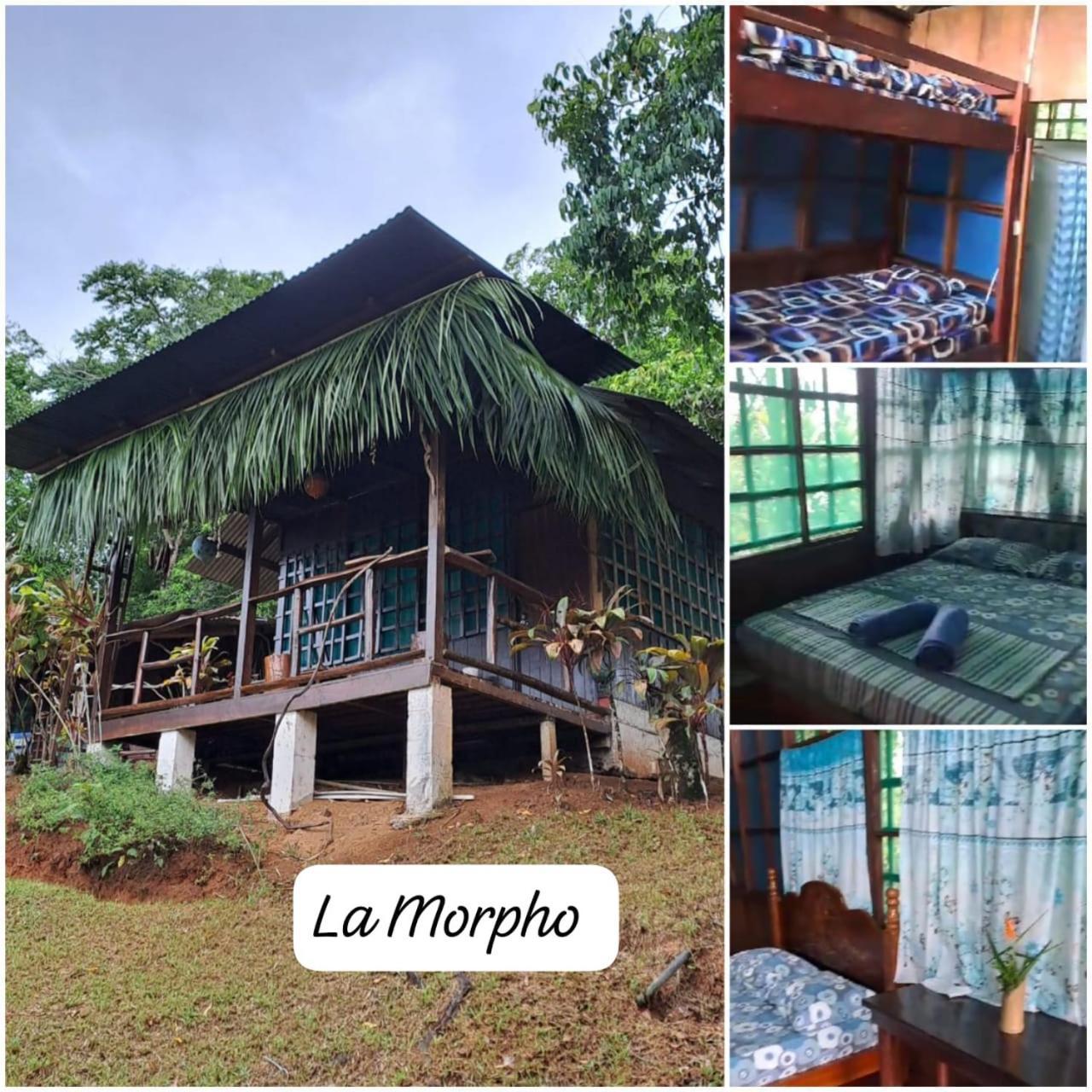 Vista Alta Ecolodge Bahia Drake Drake Bay ภายนอก รูปภาพ