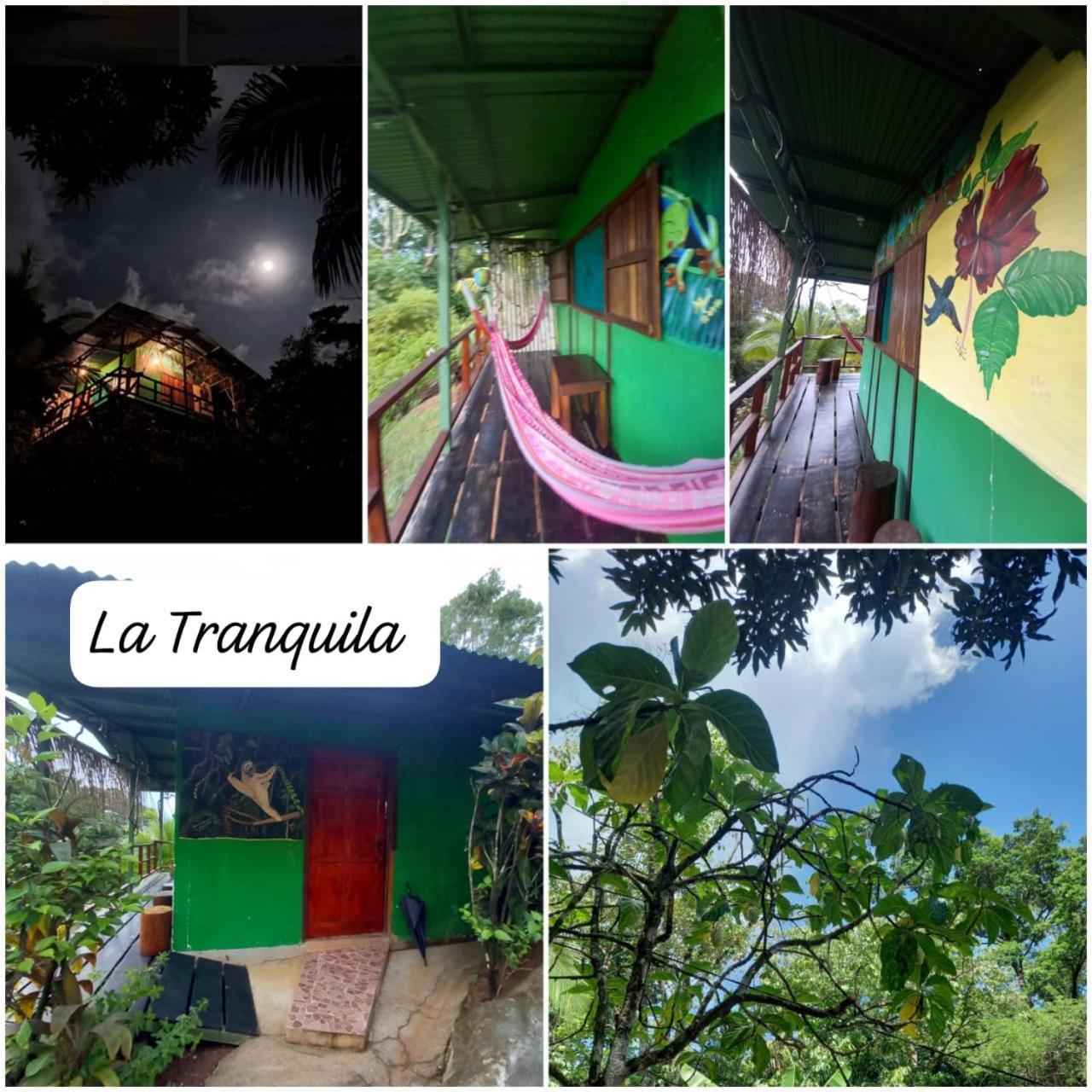 Vista Alta Ecolodge Bahia Drake Drake Bay ภายนอก รูปภาพ