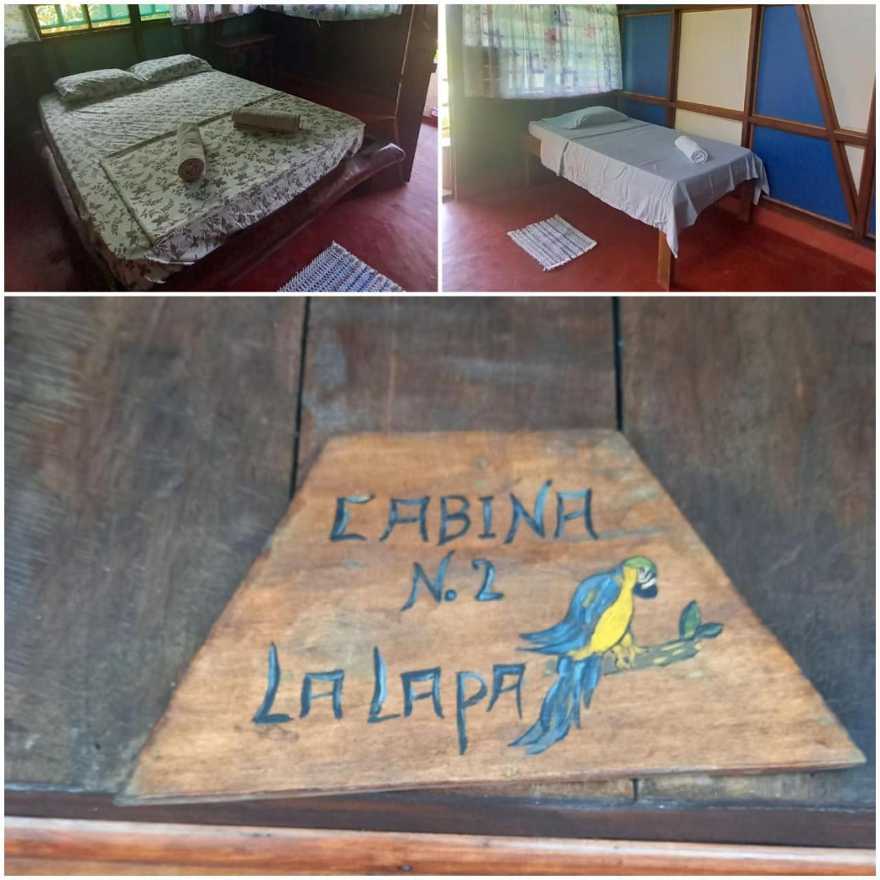 Vista Alta Ecolodge Bahia Drake Drake Bay ภายนอก รูปภาพ