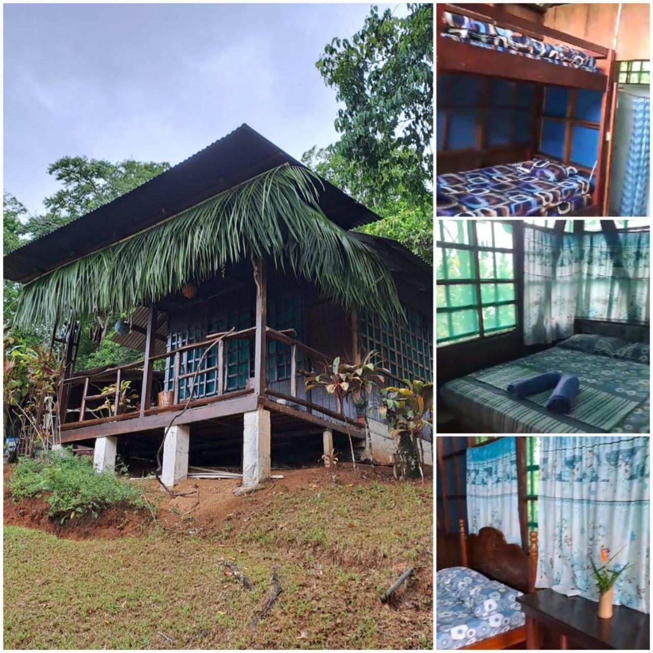 Vista Alta Ecolodge Bahia Drake Drake Bay ภายนอก รูปภาพ