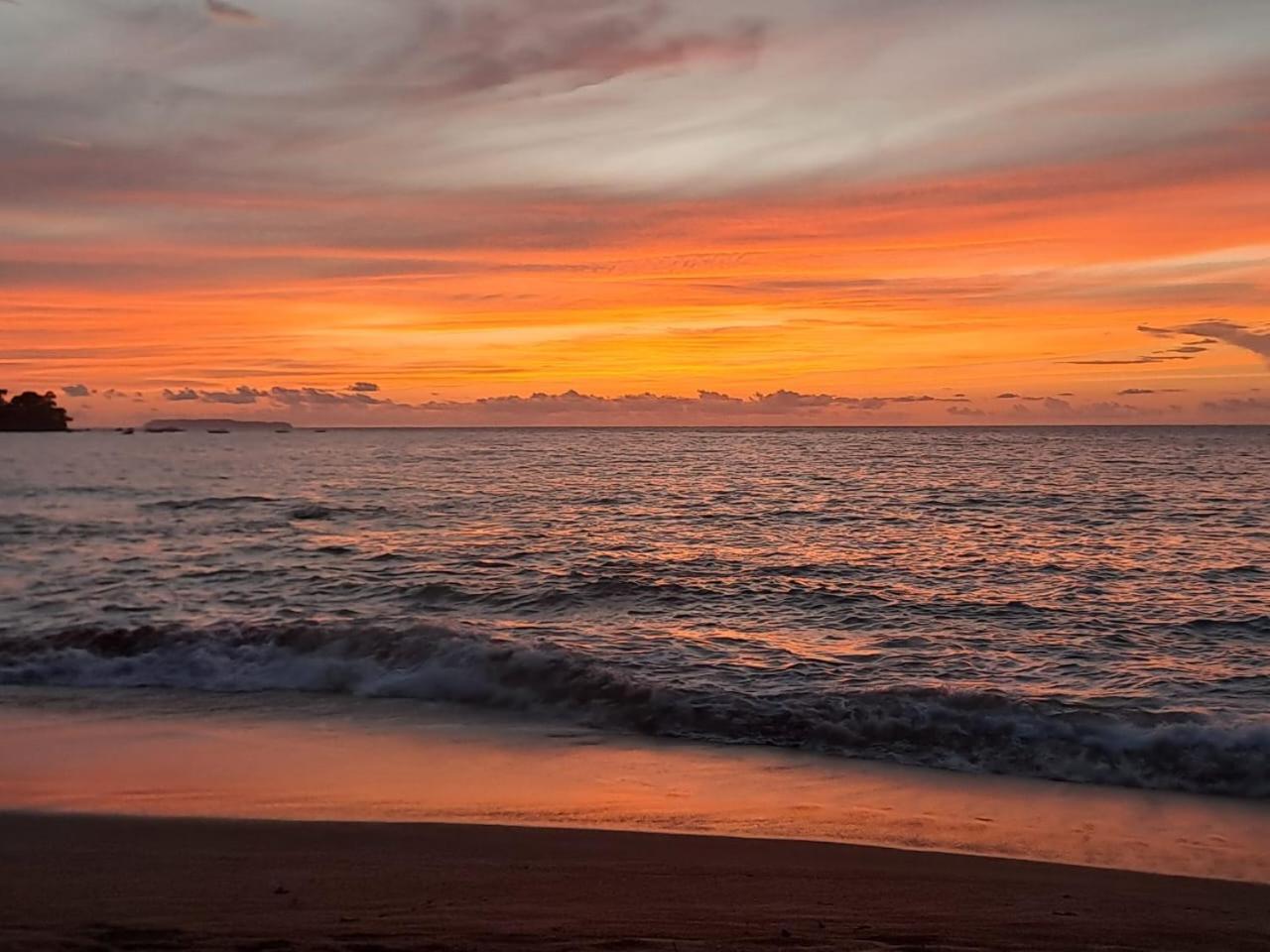 Vista Alta Ecolodge Bahia Drake Drake Bay ภายนอก รูปภาพ