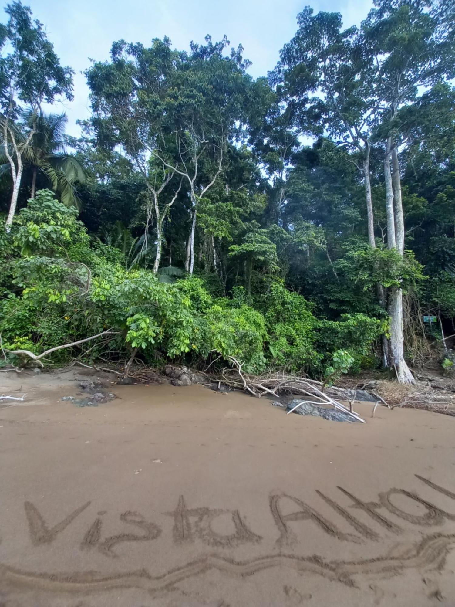 Vista Alta Ecolodge Bahia Drake Drake Bay ภายนอก รูปภาพ