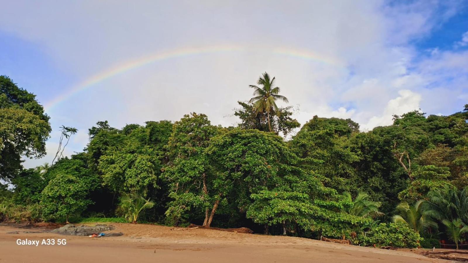 Vista Alta Ecolodge Bahia Drake Drake Bay ภายนอก รูปภาพ