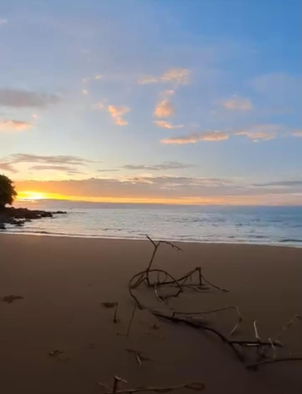 Vista Alta Ecolodge Bahia Drake Drake Bay ภายนอก รูปภาพ