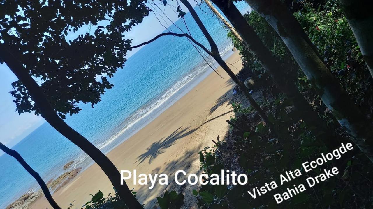Vista Alta Ecolodge Bahia Drake Drake Bay ภายนอก รูปภาพ